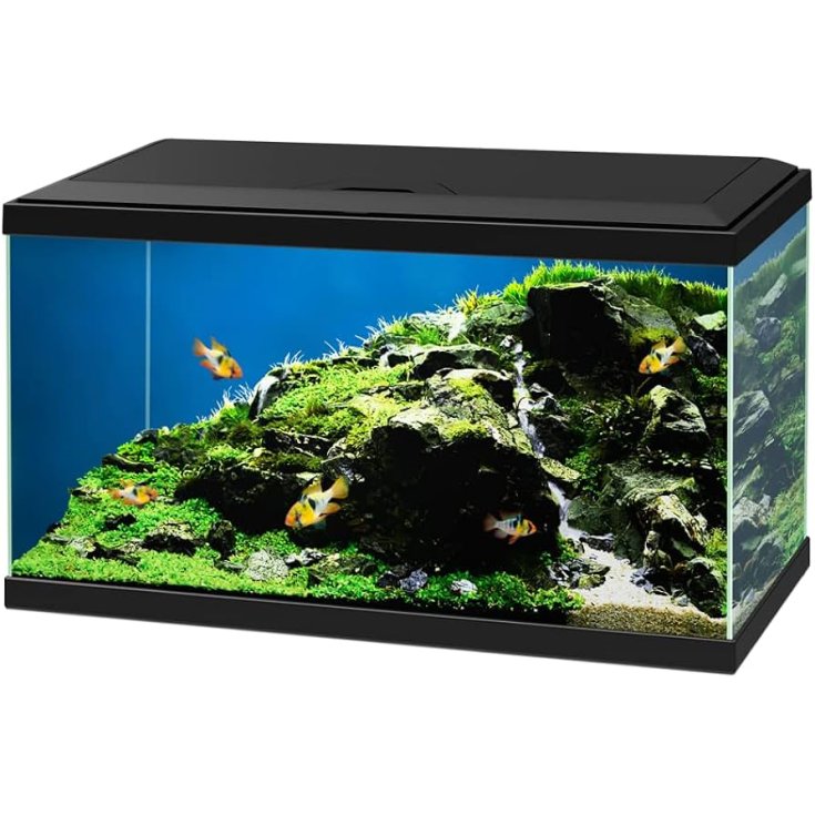 WATER 60 BLACK LED