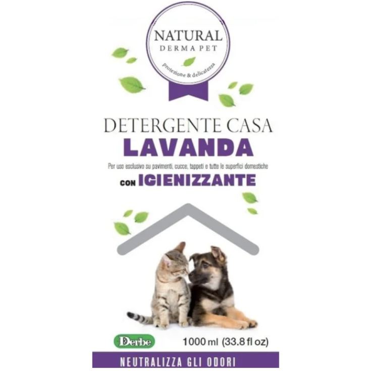 HOME HYGIENE LAVENDER 1 LT