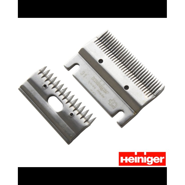 COMBS HEINIGER CAVALLI 31 - 15 COMBS HEINIGER CAVALLI 31 - 15