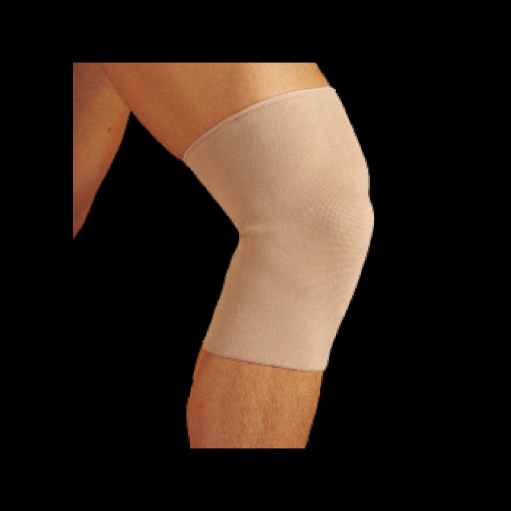 GIBAUD KNEES COT SOT BEI 1