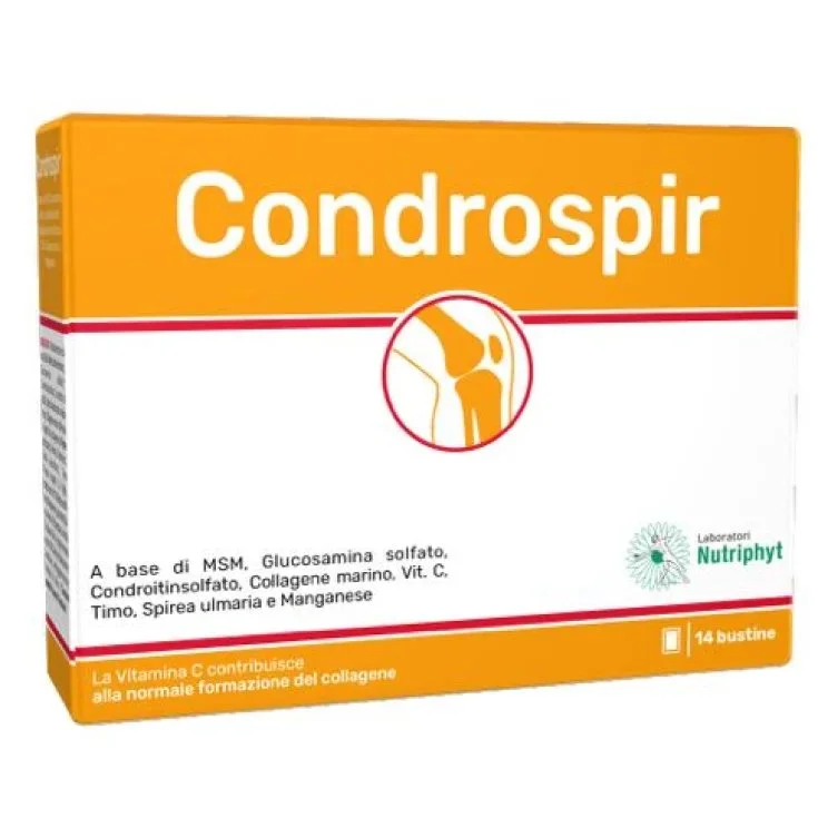 CHONDROSPIR 14BUST