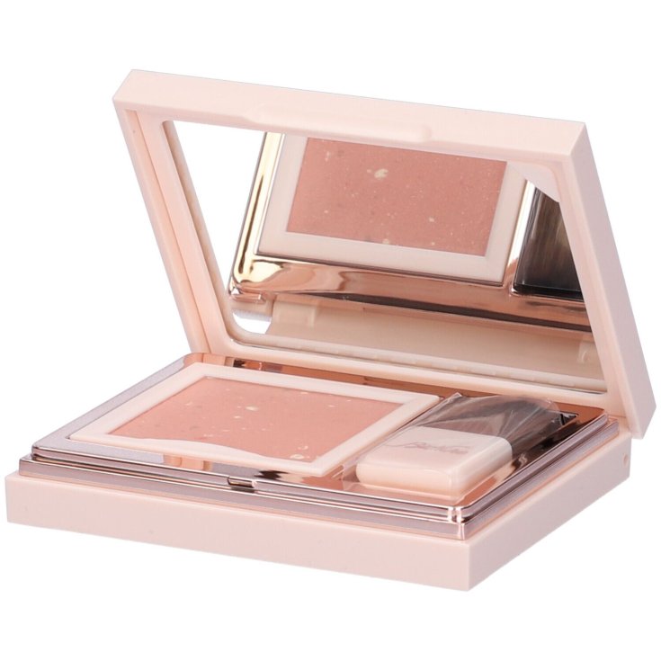 DEFENSE COLOR PRETTY BLUSHER 309