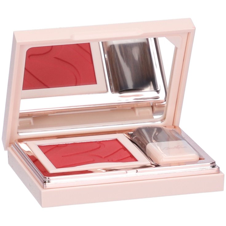 DEFENSE COLOR PRETTY BLUSHER 310
