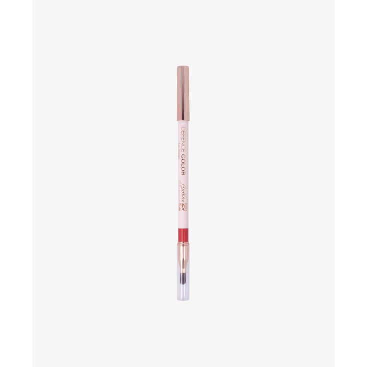 DEFENSE COLOR LIP DES MAT 208