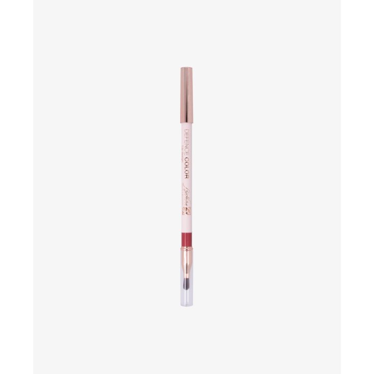 DEFENSE COLOR LIP DES MAT 209