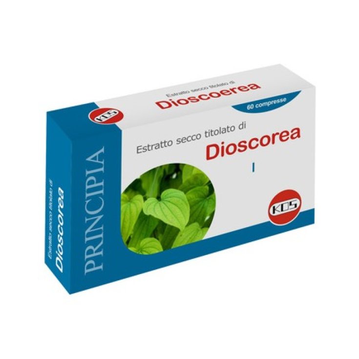DIOSCOREA DRY EXTRACT 60CPR
