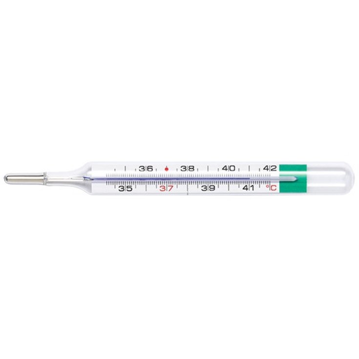 MEDS ECO CLINICAL THERMOMETER