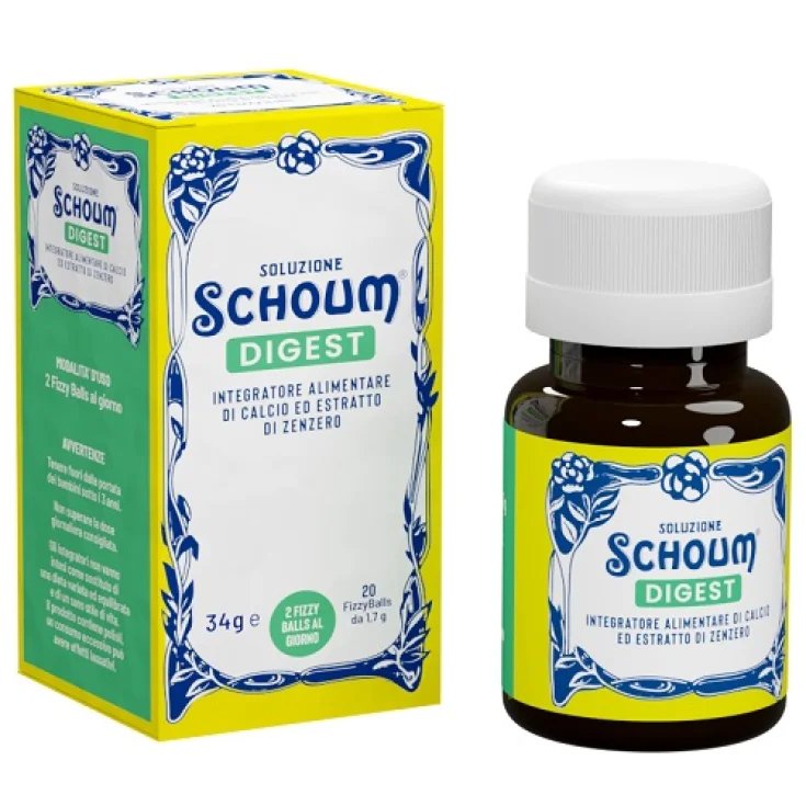 SCHOUM DIGEST 20FIZZ SOLUTION