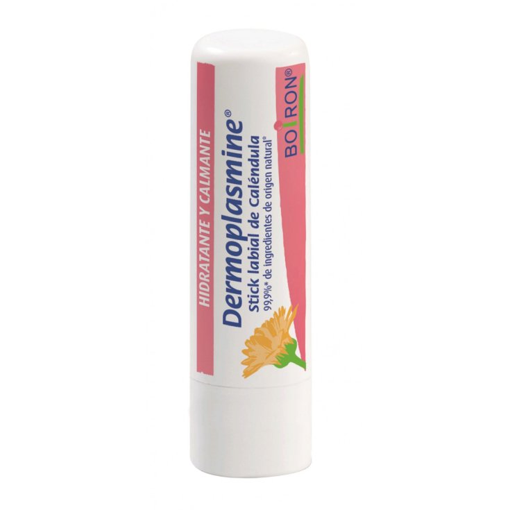 DERMOPLASMINE LIP STICK 2PCS