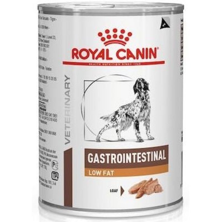 VHN DOG GASTRO LOW FAT 420G