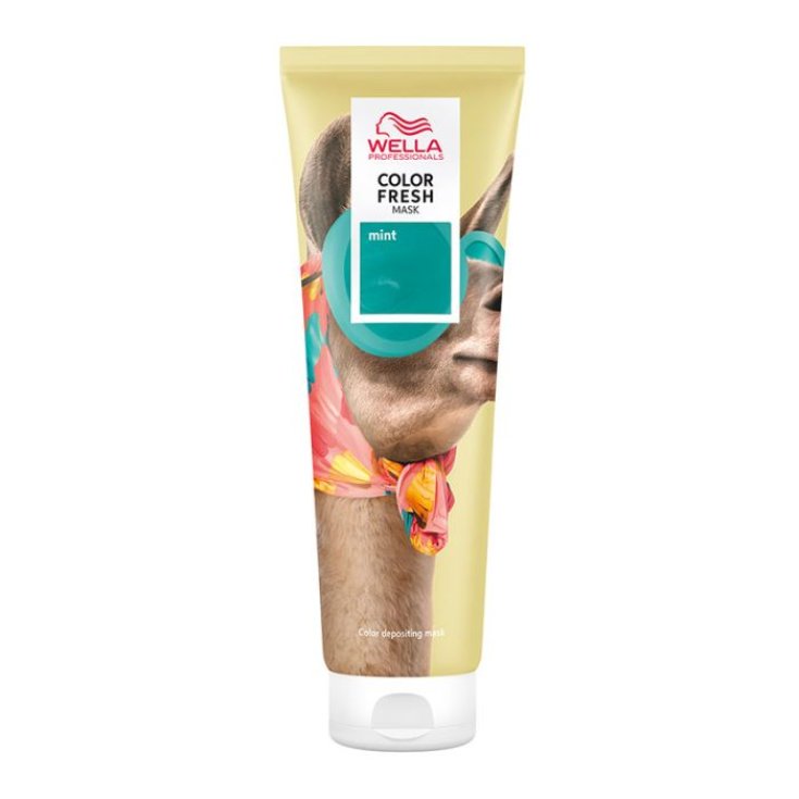 COLOR FRESH MAS COLOR MINT