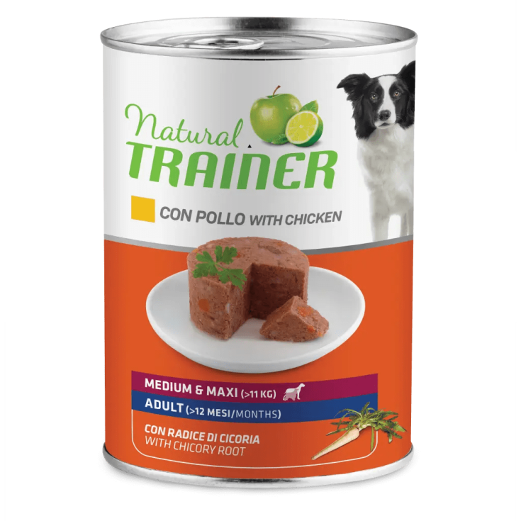 TRAINER NAT DM/M AD P+R400G