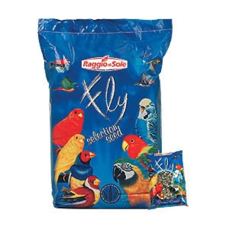 Large Striped Sunflower - 500GR