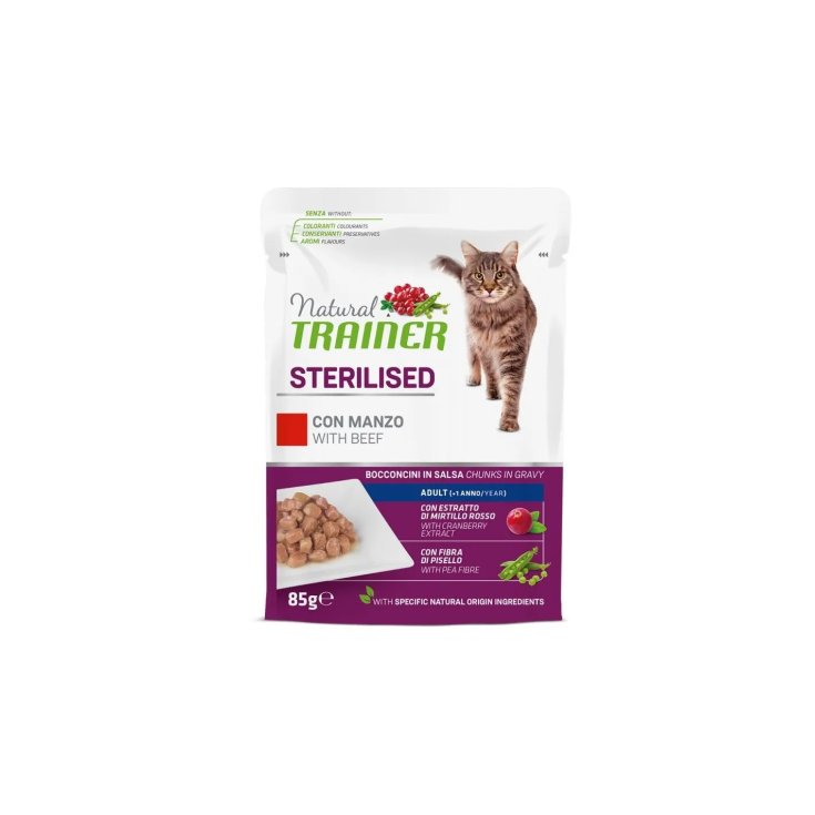 BETWEEN CAT N UM BS ST BEEF 85G