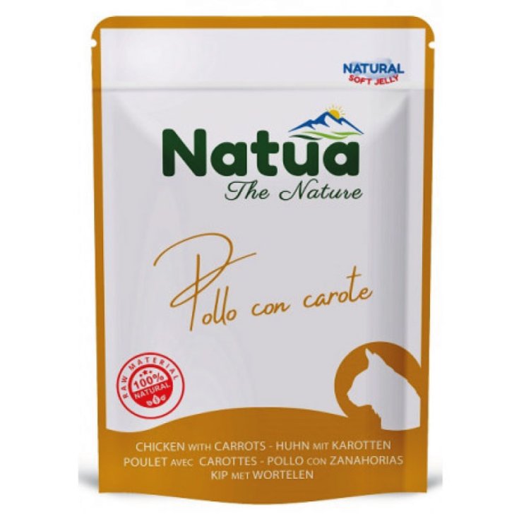 629 NATUA CAT BUST POL CAR70G