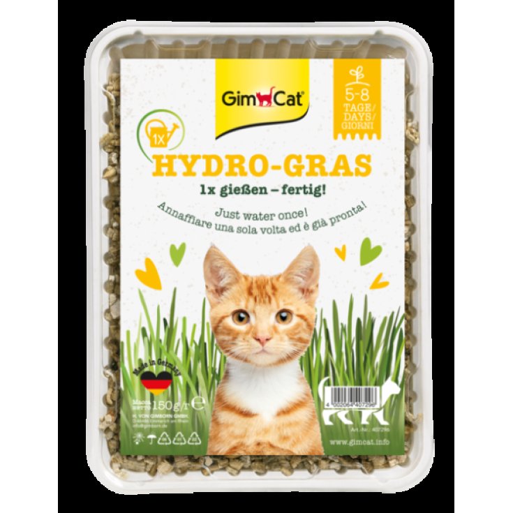 GIMCAT CATNIP POLL HYDR