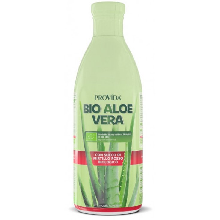 PROVIDA BIO ALOE BLUEBERRY 1L