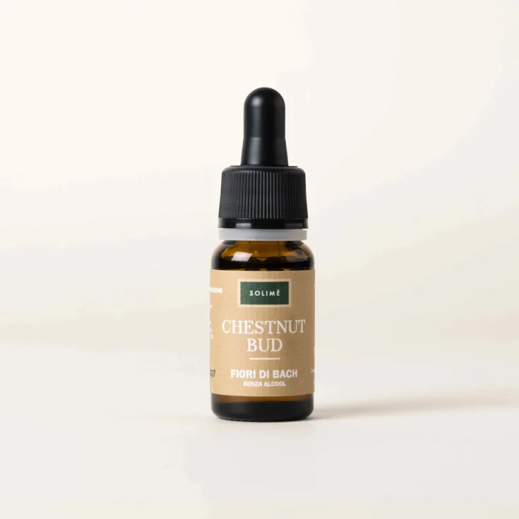 CHESTNUT BUD 10ML