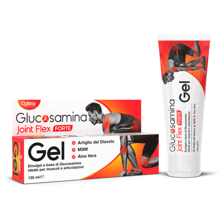 GLUCOSAMINA JOINT FLEX GEL FT