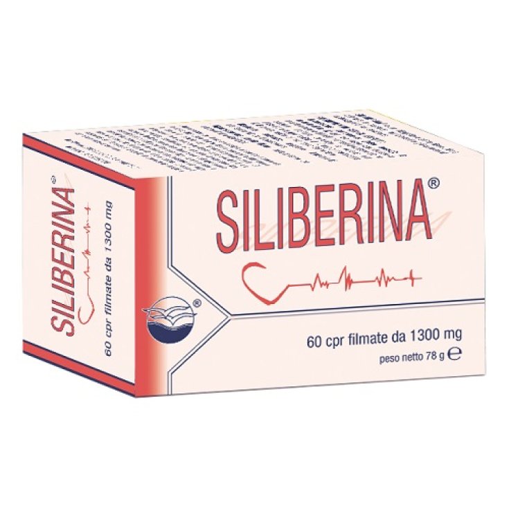 SILIBERINA 60CPR FILMATE