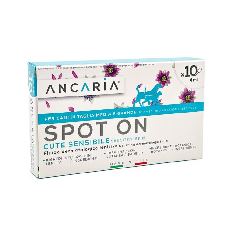 ANCARIA SPOT-ON 4ML TG M/GR