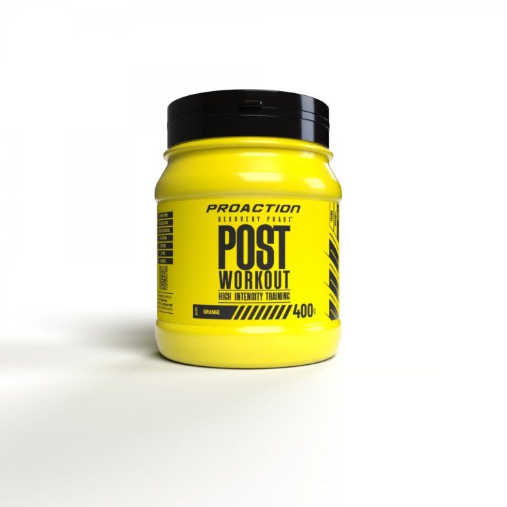 PROACTION FIT POST WORKOUT400G