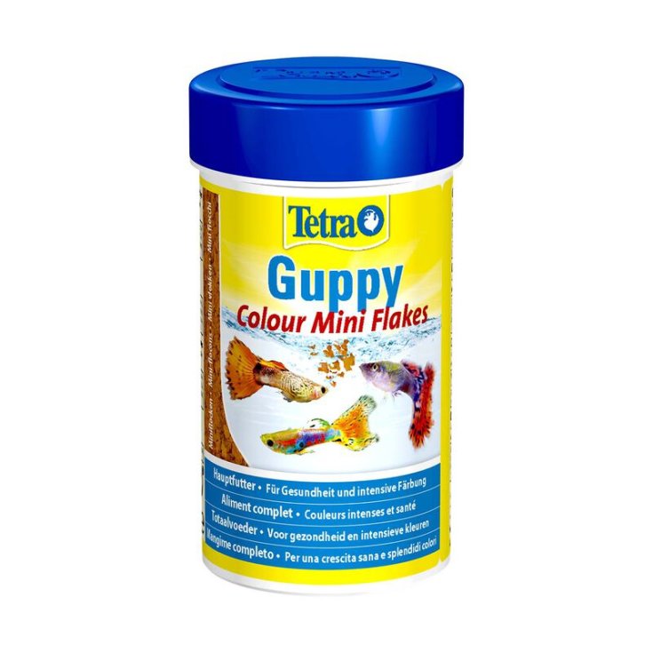 TETRAGUPPY COLOUR 100ML