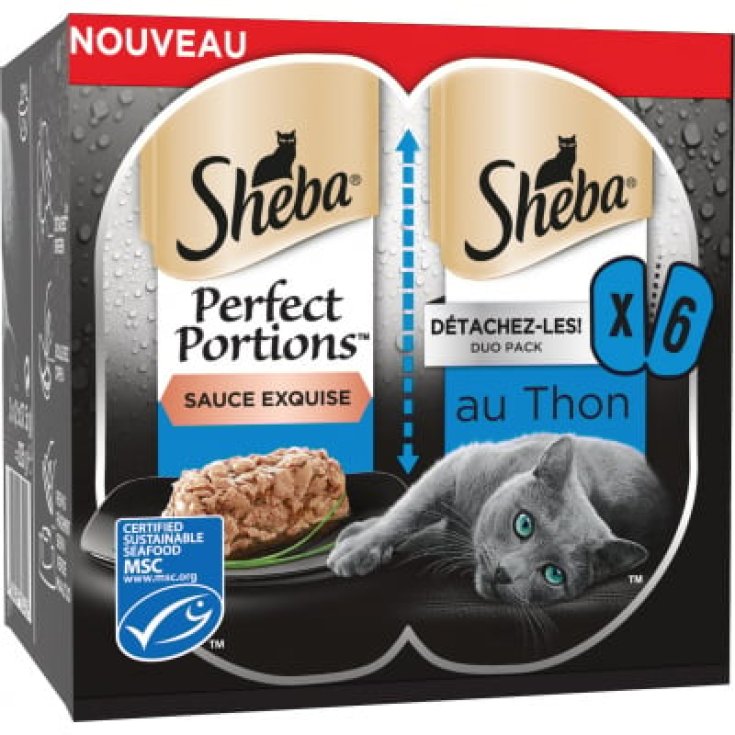 SHE PP SALSA TON 37,5G 3X2