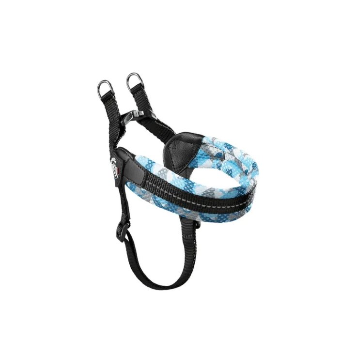 TP EF RE S/P REG AZZ CA 1