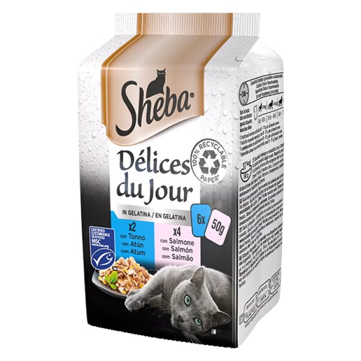 SHE DDJ TON SALM GELAT 50G 6PZ