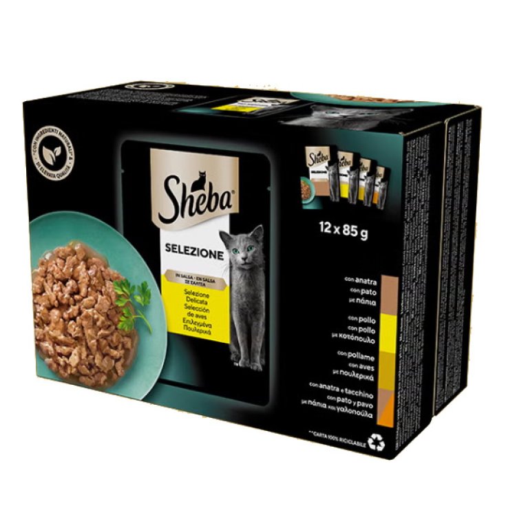 SHE SEL SALSA ASS DEL 85G 12PZ