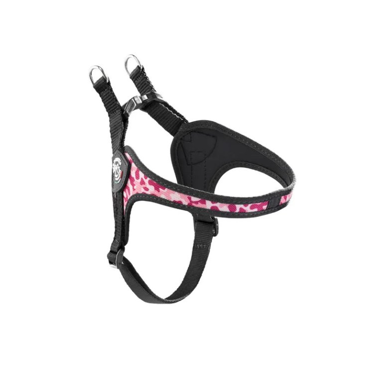 TP EF RE S/P REG RA CA 4