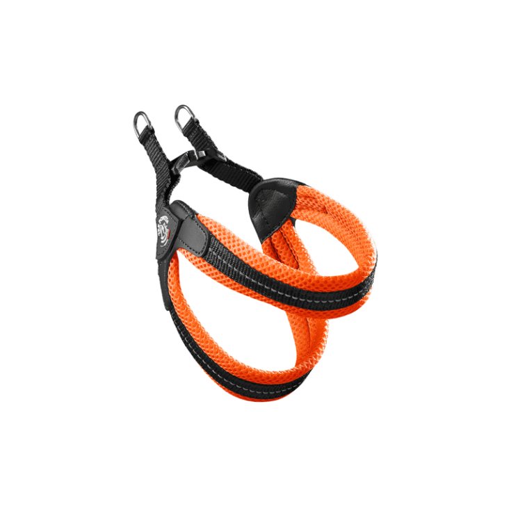 TP EF RE CLK ARA CA 2,5