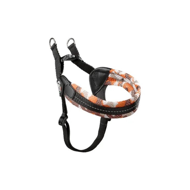 TP EF RE S/P REG ARA CA 2,5