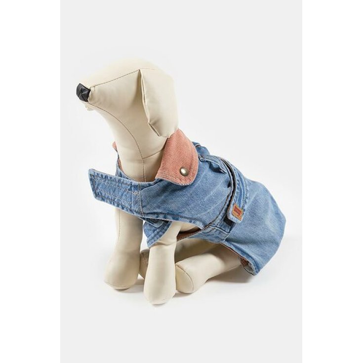 CARRERA CAPP DENIM S ST WASH60