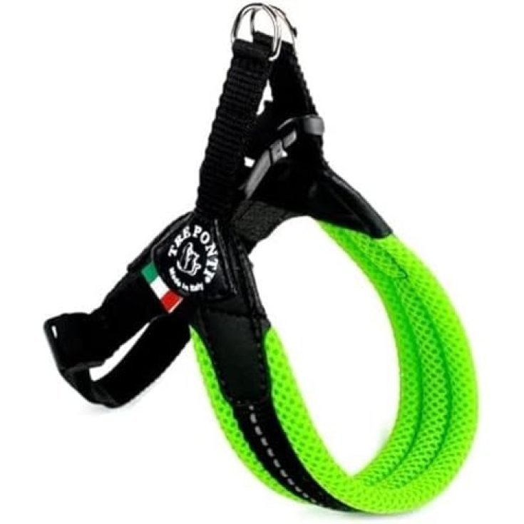 TP EF RE CLK VE FLUO 1,5