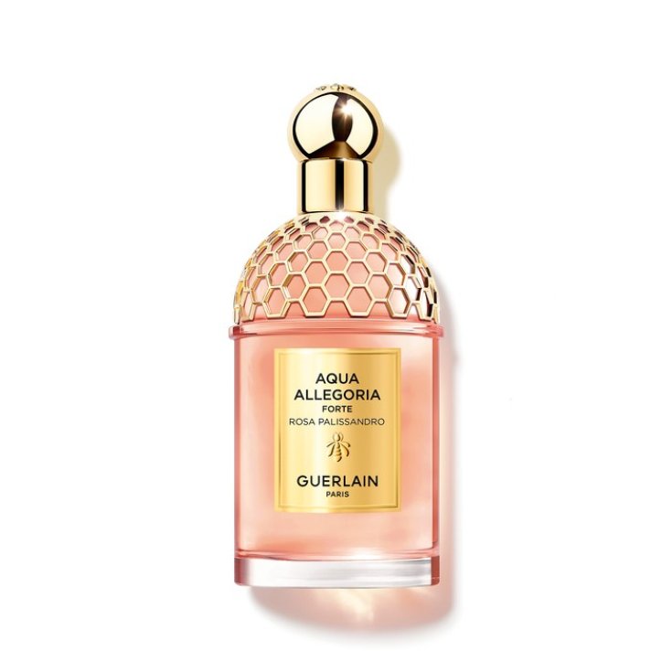 GUE AQUA ALLEG R/PALISSAND.EDP 75V