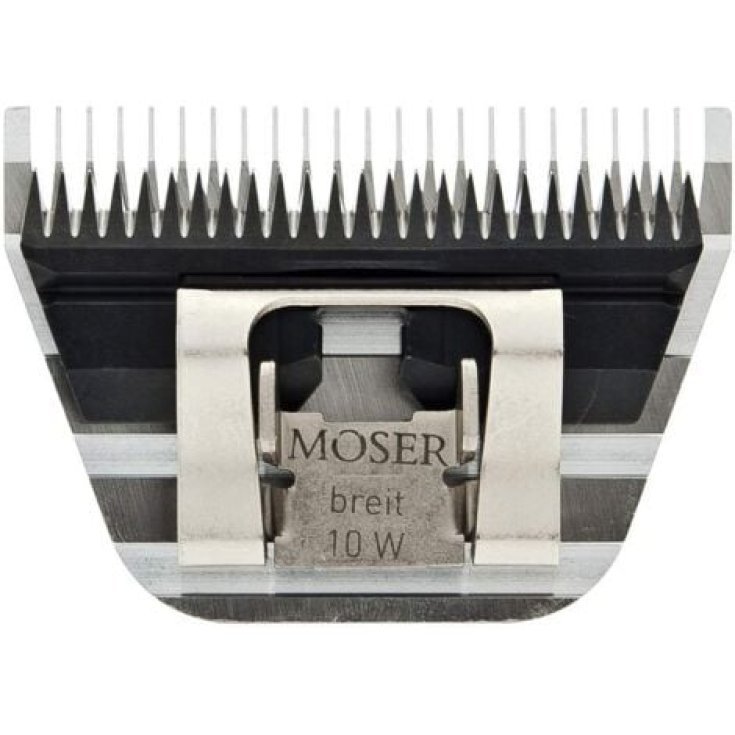 TESTINA MOSER LARGE 2.3MM 1221-5840