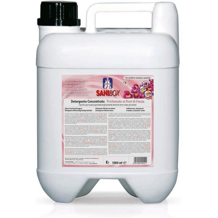 SANIBOX FRESIA DETERGENTE 5L