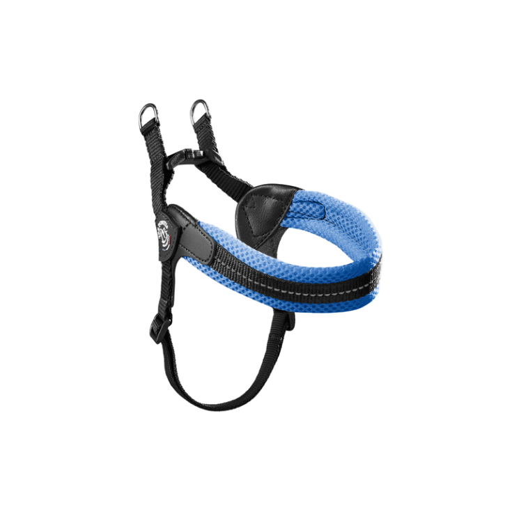 PETTORINA RETE FLUO PLAST 2 BLU CIELO