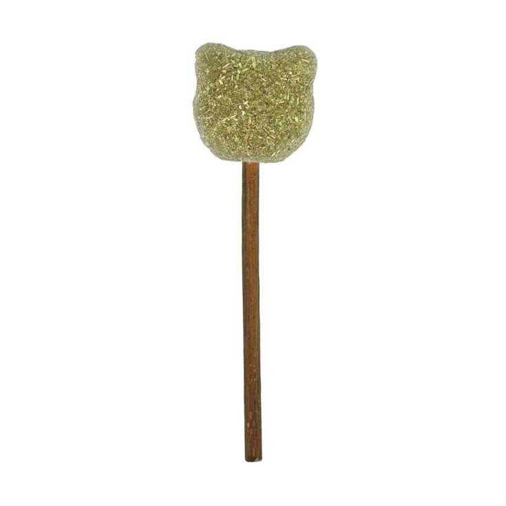 RECORD LOLLIPOP GATTINO IN MATATABI E CA