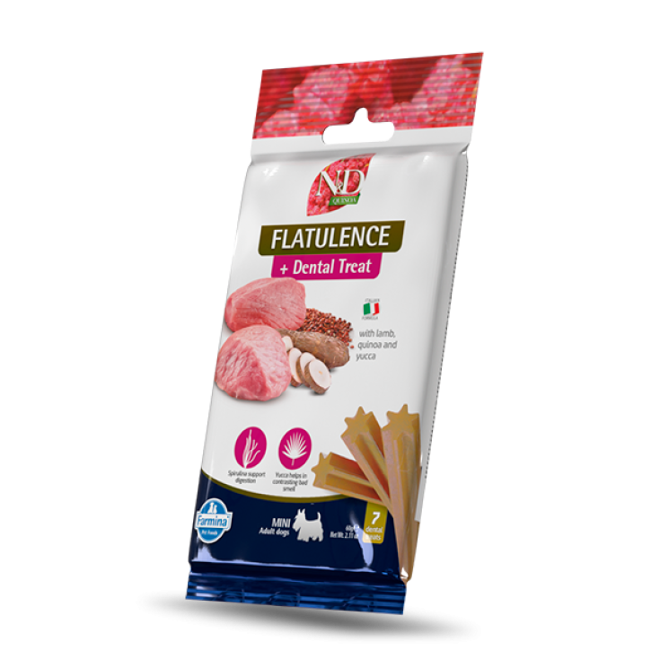 SNACK DOG QUINOA FLATULENCE MINI 60 GR