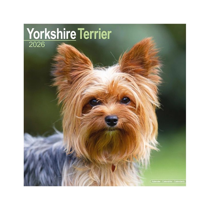 RECORD YORKSHIRE,CALENDARIO 30,5X30,5 CM