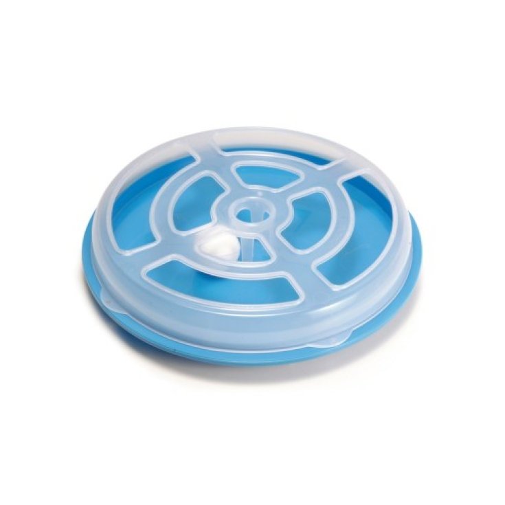 RECORD VERTIGO GIOCO CON PALLINA PER GAT