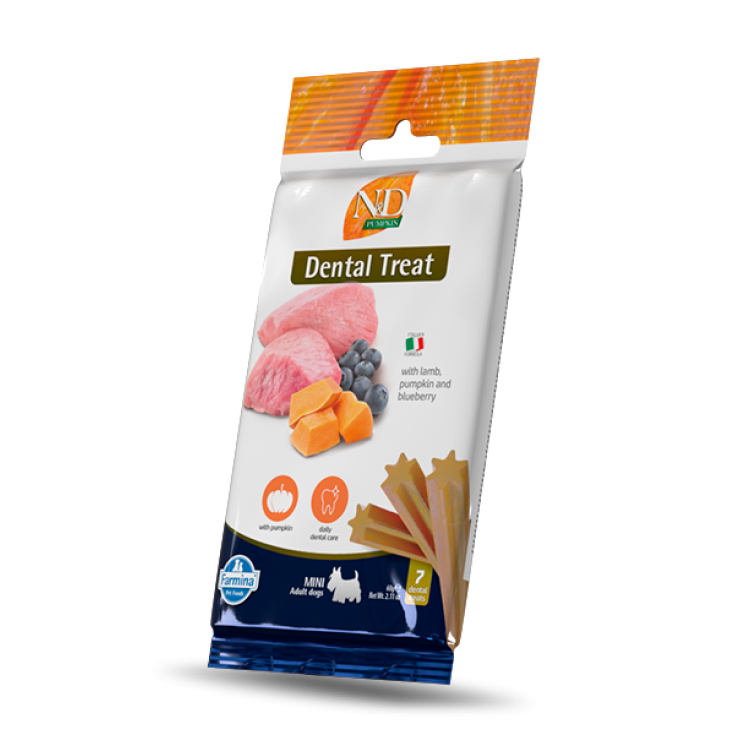 SNACK DOG PUMPKIN AGNELLO MINI 60 GR