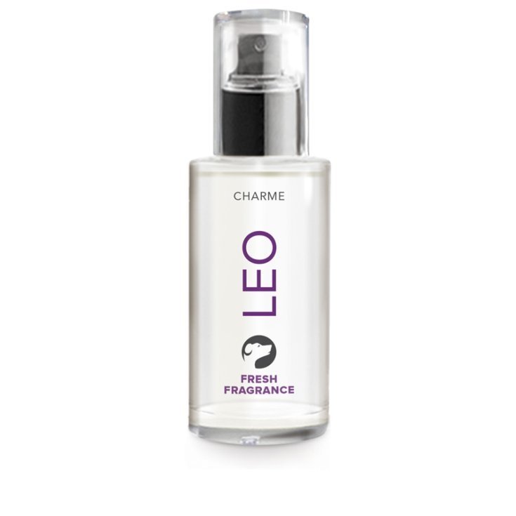 RECORD CHARME PROFUMO 0,5 L LEO