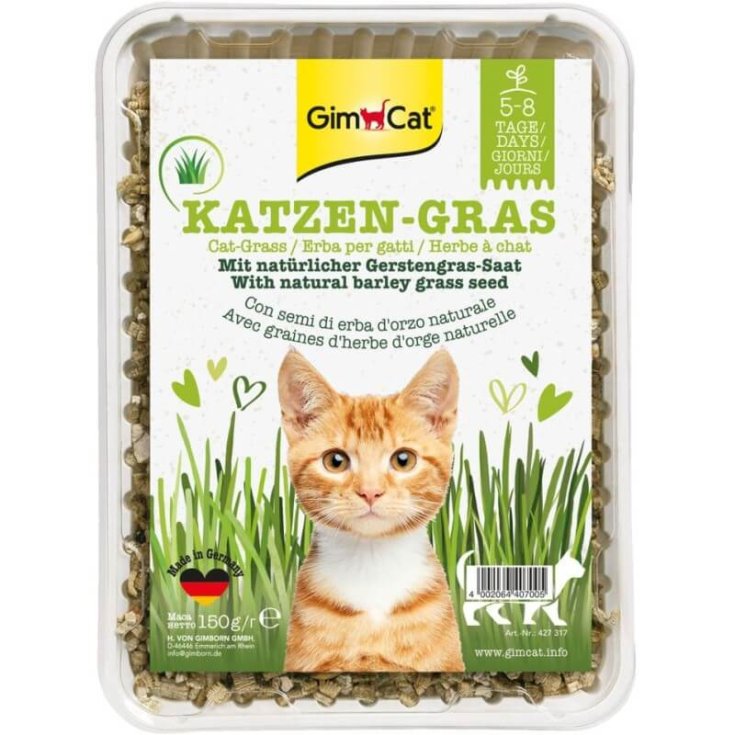 GIMCAT ERBAGATTO SEMIERBA ORZO