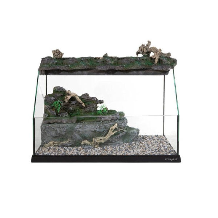 TARTARUGHIERA ART 153