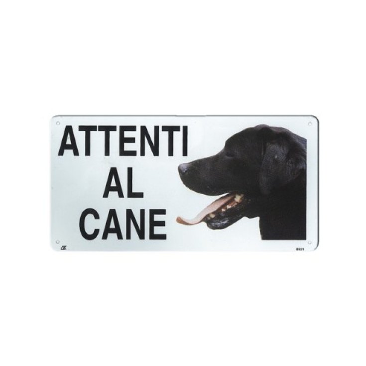 RECORD TARGA ATTENTI AL CANE MEDIA LABRA
