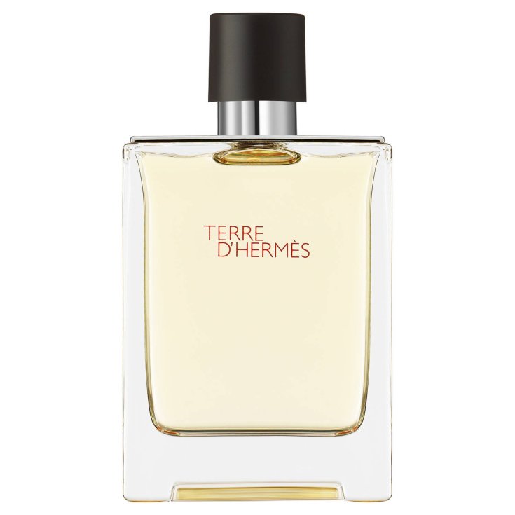 HERMES TERRE EDT 100 VAPO